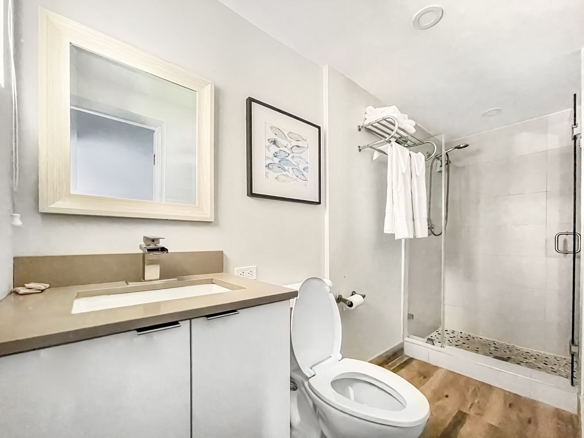 Bathroom, walk-in shower